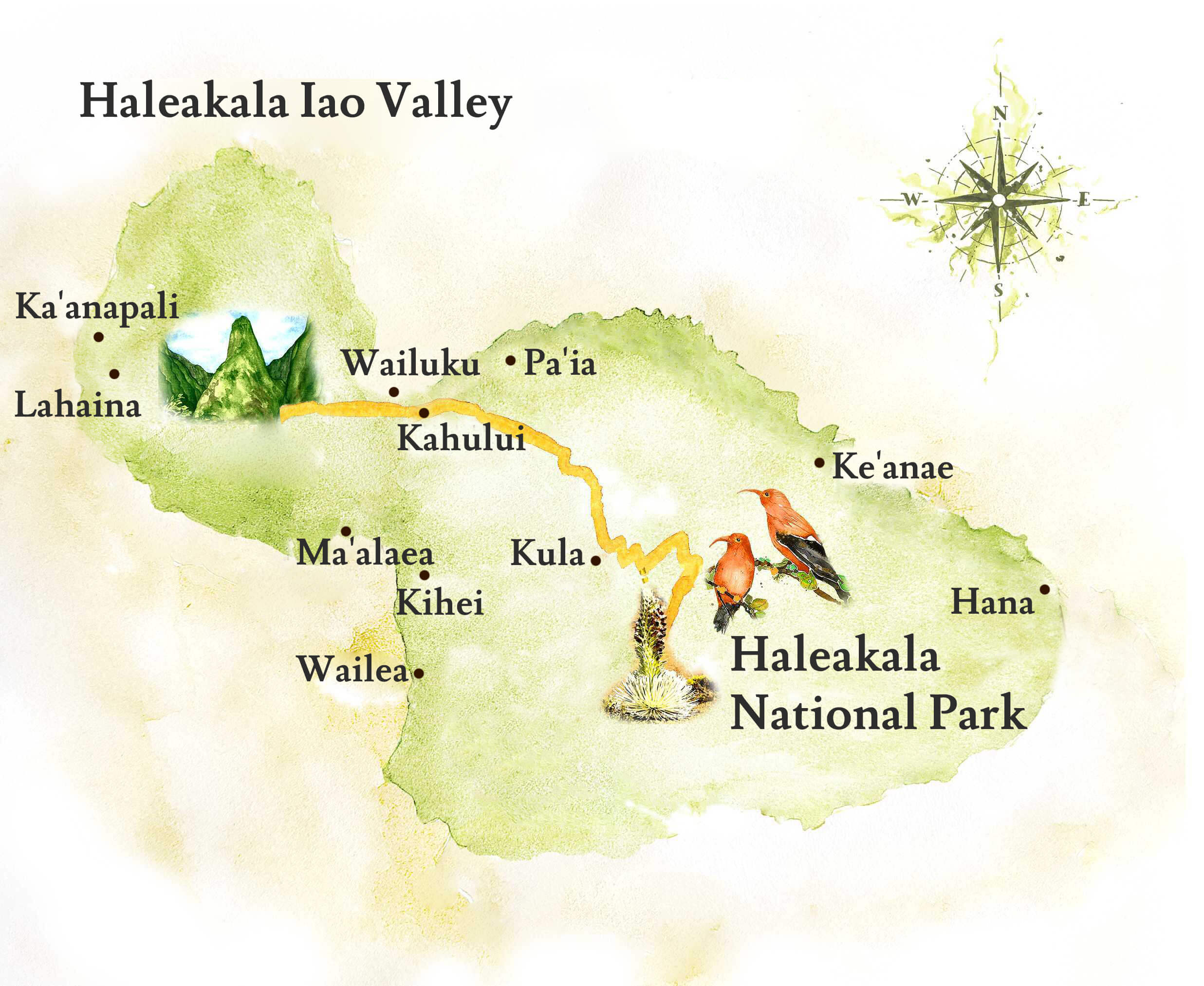 Haleakala & Iao Valley Private Tour | Unique Maui Tours